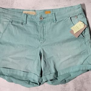NWY Teal Anthropologie shorts size 31